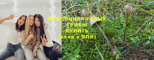 мяу мяу мука Богородск
