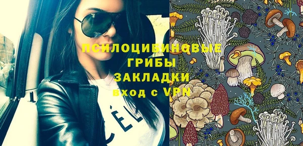стафф Богородицк