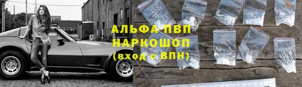 стафф Богородицк